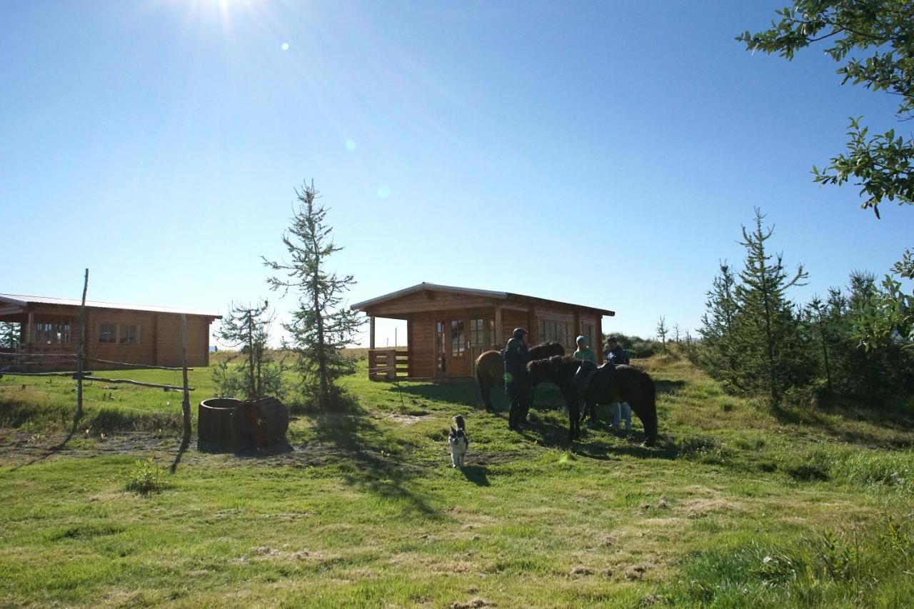 Armuli Villa Reynistadur Exterior photo